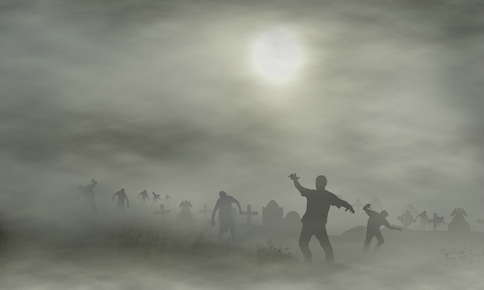 Why A Vet Is Your Best Defense During A Zombie Apocalypse