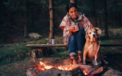 Camping with Pets