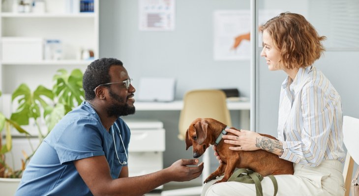 Ways to Take the Stress Out of Your Pet’s Next Veterinary Visit