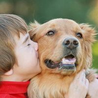 Internet Reunites Lost Pets and Owners