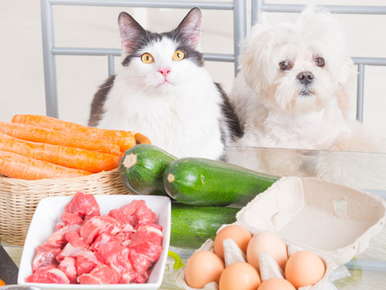 Cooking for Your Pets
