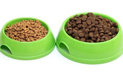 Pet Food Allergies? The Rules for a Pet Food Trial Have Changed