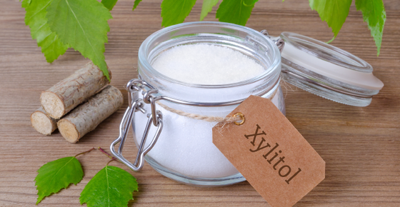 Xylitol Poisoning in Dogs