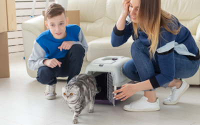 How to Help Your New Cat Feel Welcomed in Your Home