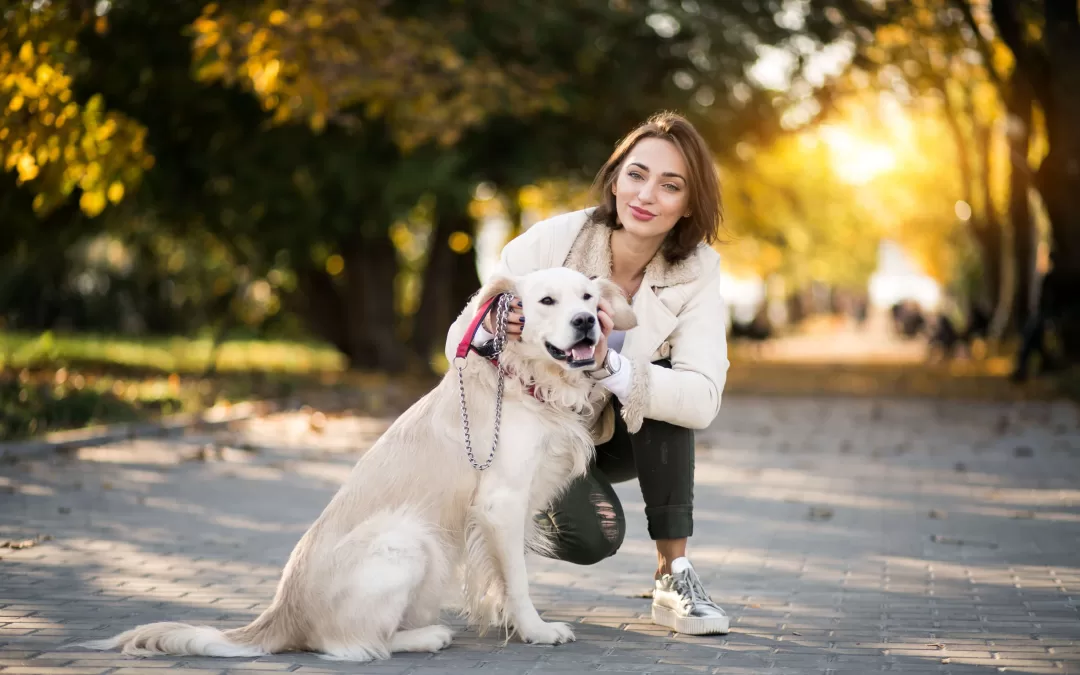 High Blood Pressure in Dogs