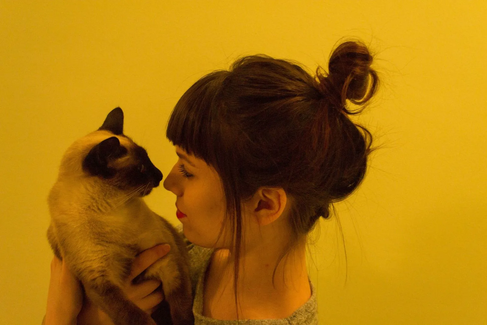 Animal Hospital in Kitchener