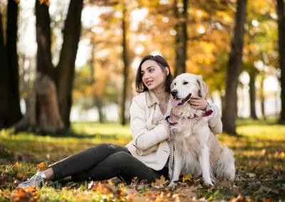 dog hospital kitchener