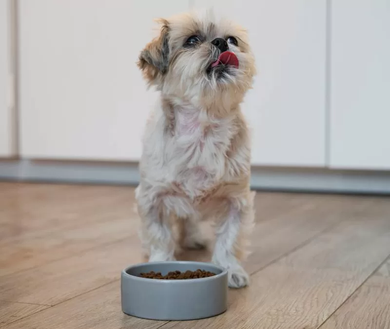 How Pet Food Is Made