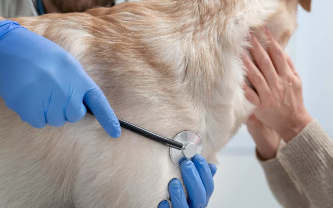 February Newsletter: Where to Start When Training Your Puppy