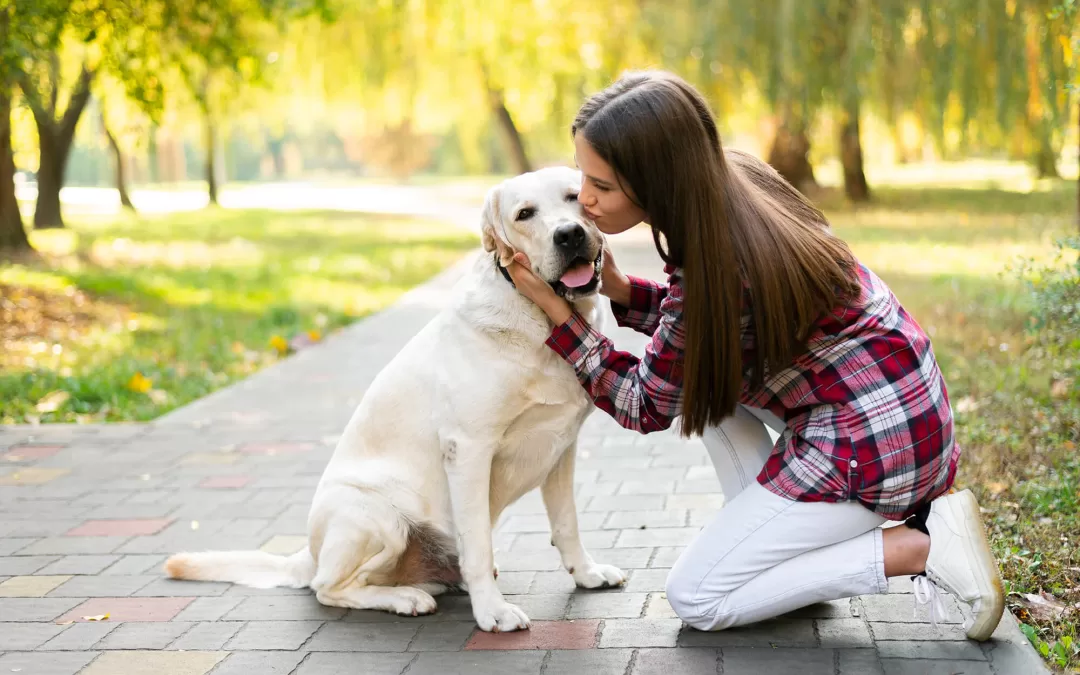 Internet Reunites Lost Pets and Owners