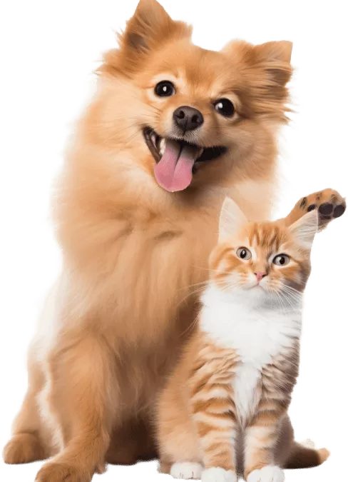 Why Your Guinea Pig Needs Vitamin C But Your Dog Doesn’t